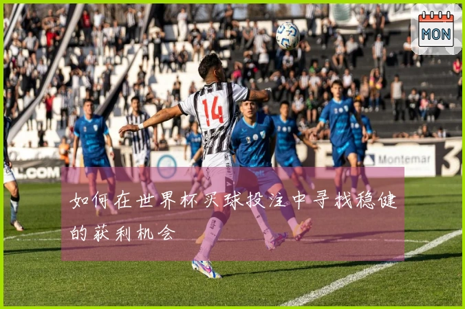 如何在世界杯买球投注中寻找稳健的获利机会