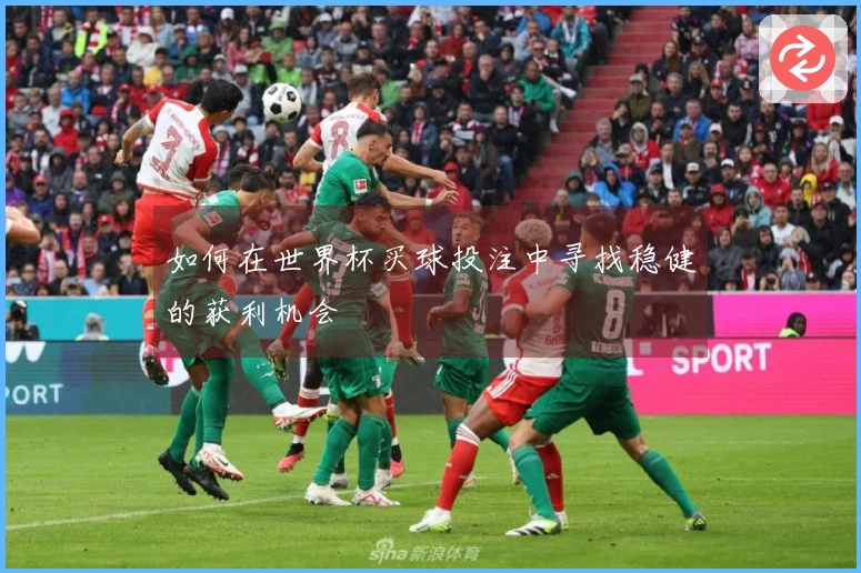 如何在世界杯买球投注中寻找稳健的获利机会